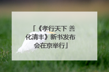 《孝行天下 善化清丰》新书发布会在京举行