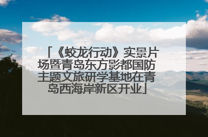 《蛟龙行动》实景片场暨青岛东方影都国防主题文旅研学基地在青岛西海岸新区开业