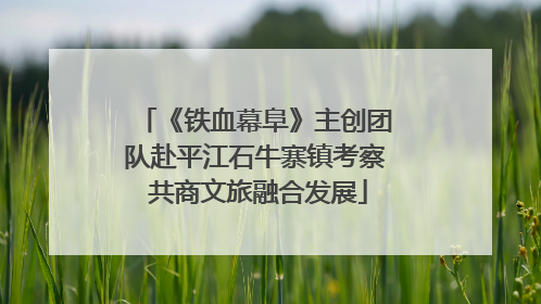 《铁血幕阜》主创团队赴平江石牛寨镇考察 共商文旅融合发展