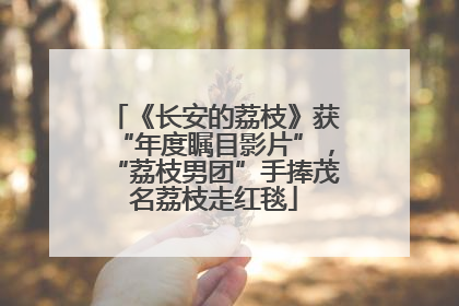 《长安的荔枝》获“年度瞩目影片”，“荔枝男团”手捧茂名荔枝走红毯