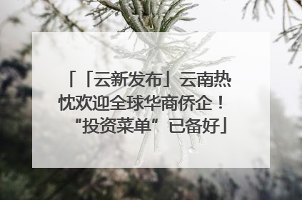 「云新发布」云南热忱欢迎全球华商侨企！“投资菜单”已备好