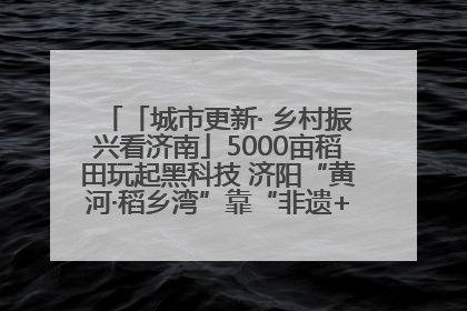 「城市更新· 乡村振兴看济南」5000亩稻田玩起黑科技 济阳“黄河·稻乡湾”靠“非遗+露营”火出圈