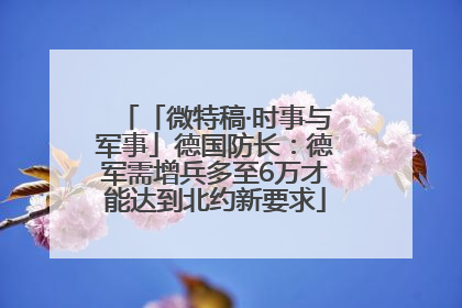 「微特稿·时事与军事」德国防长：德军需增兵多至6万才能达到北约新要求