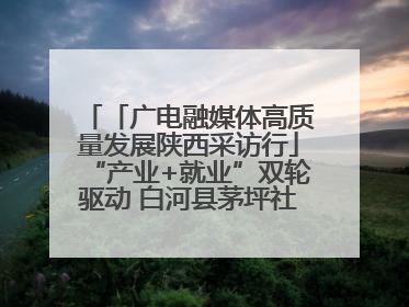 「广电融媒体高质量发展陕西采访行」“产业+就业”双轮驱动 白河县茅坪社区打造易地搬迁后扶新样本