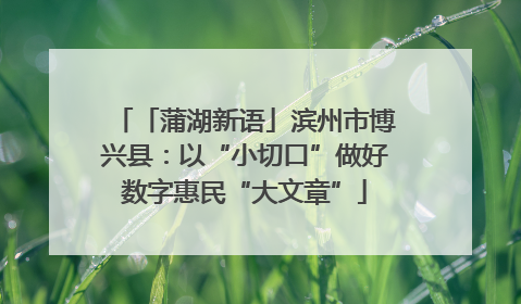 「蒲湖新语」滨州市博兴县：以“小切口”做好数字惠民“大文章”