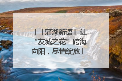 「蒲湖新语」让“友城之花”跨海向阳，尽情绽放