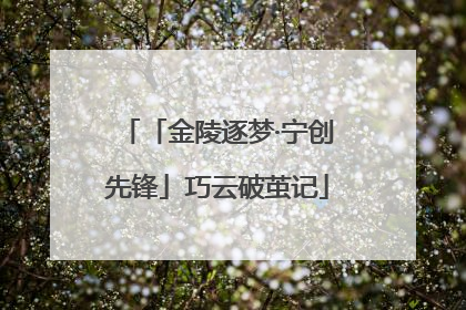 「金陵逐梦·宁创先锋」巧云破茧记