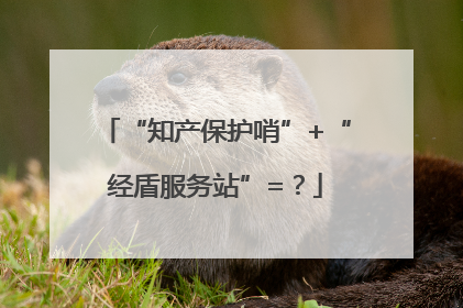 “知产保护哨”+“经盾服务站”=？