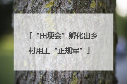 “田埂会”孵化出乡村用工“正规军”