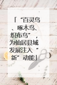 “百灵鸟、啄木鸟、织布鸟”，为仙居县域发展注入“新”动能