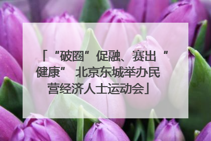 “破圈”促融、赛出“健康” 北京东城举办民营经济人士运动会
