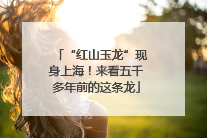“红山玉龙”现身上海！来看五千多年前的这条龙