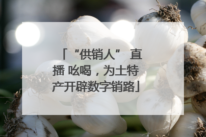 “供销人” 直播 吆喝，为土特产开辟数字销路