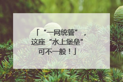 “一网统管”，这座“水上堡垒”可不一般！