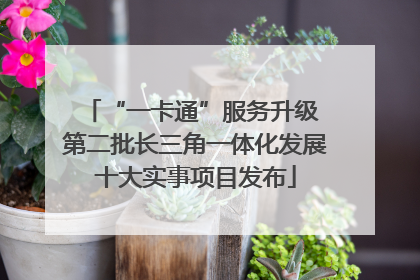 “一卡通”服务升级 第二批长三角一体化发展十大实事项目发布