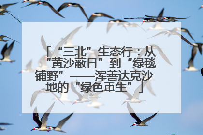 “三北”生态行：从“黄沙蔽日”到“绿毯铺野”——浑善达克沙地的“绿色重生”