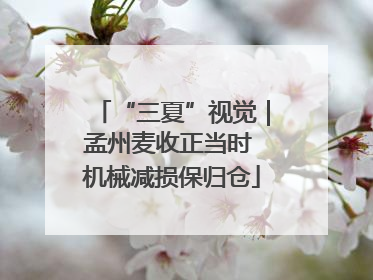 “三夏”视觉｜孟州麦收正当时 机械减损保归仓