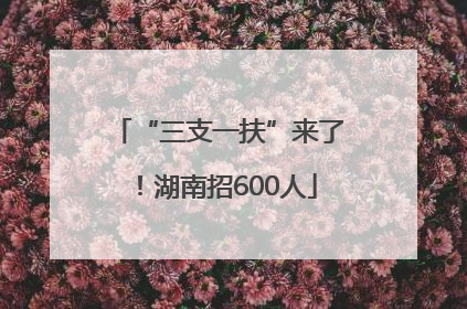 “三支一扶”来了！湖南招600人