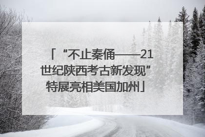 “不止秦俑——21世纪陕西考古新发现”特展亮相美国加州