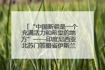 “中国新疆是一个充满活力和希望的地方”——印度尼西亚北苏门答腊省伊斯兰教代表团参访新疆