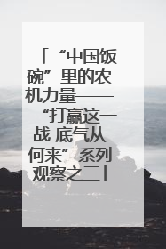 “中国饭碗”里的农机力量——“打赢这一战 底气从何来”系列观察之三