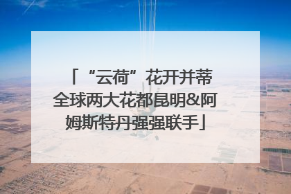 “云荷”花开并蒂 全球两大花都昆明&阿姆斯特丹强强联手