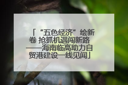 “五色经济”绘新卷 抢抓机遇闯新路——海南临高助力自贸港建设一线见闻