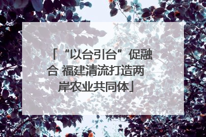 “以台引台”促融合 福建清流打造两岸农业共同体