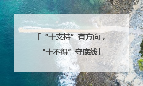 “十支持”有方向，“十不得”守底线