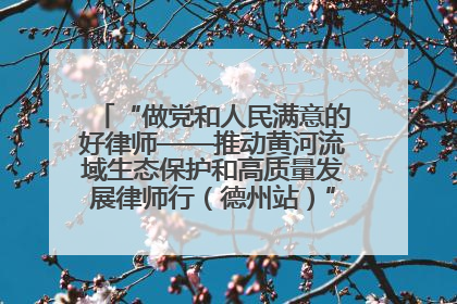 “做党和人民满意的好律师——推动黄河流域生态保护和高质量发展律师行（德州站）”活动成功举办