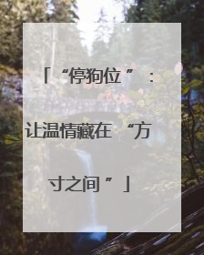 “停狗位 ”：让温情藏在 “方寸之间 ”