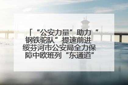 “公安力量”助力“钢铁驼队”提速前进 绥芬河市公安局全力保障中欧班列“东通道”绥芬河隧道贯通