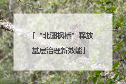 “北疆枫桥”释放基层治理新效能