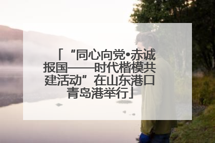 “同心向党•赤诚报国——时代楷模共建活动”在山东港口青岛港举行