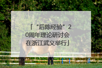 “后陈经验”20周年理论研讨会在浙江武义举行