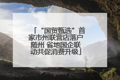 “国贸甄选”首家市州联营店落户随州 省地国企联动共促消费升级