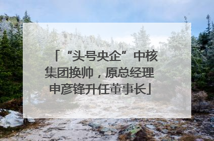 “头号央企”中核集团换帅，原总经理申彦锋升任董事长