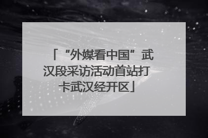 “外媒看中国”武汉段采访活动首站打卡武汉经开区