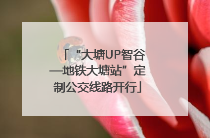 “大塘UP智谷—地铁大塘站”定制公交线路开行