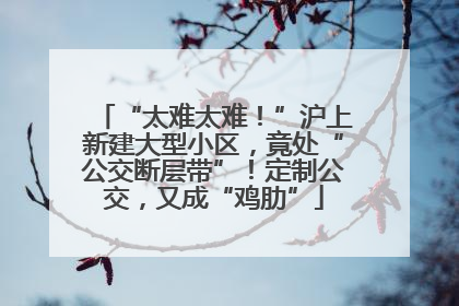 “太难太难！”沪上新建大型小区，竟处“公交断层带”！定制公交，又成“鸡肋”
