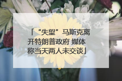 “失望”马斯克离开特朗普政府 媒体称当天两人未交谈