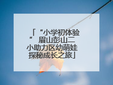 “小学初体验” 眉山彭山二小助力区幼萌娃探秘成长之旅
