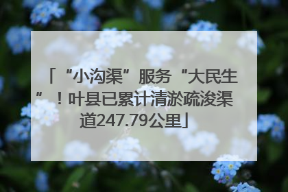 “小沟渠”服务“大民生”！叶县已累计清淤疏浚渠道247.79公里