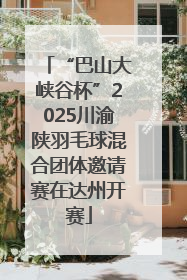 “巴山大峡谷杯”2025川渝陕羽毛球混合团体邀请赛在达州开赛