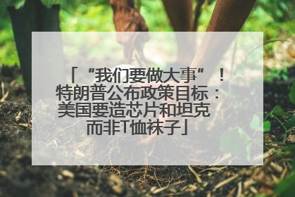 “我们要做大事”！特朗普公布政策目标：美国要造芯片和坦克 而非T恤袜子