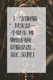 “招财猫”其实是一个熨斗 博物馆回应：是猫是虎，见仁见智