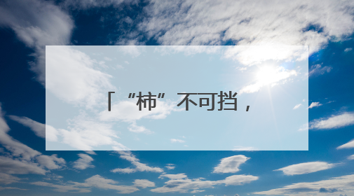 “柿”不可挡，“粽”望所归！徐汇校园用仪式感为少年们“充能”