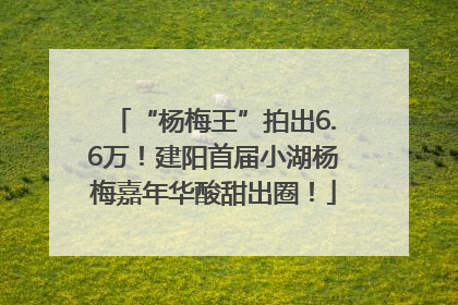 “杨梅王”拍出6.6万！建阳首届小湖杨梅嘉年华酸甜出圈！