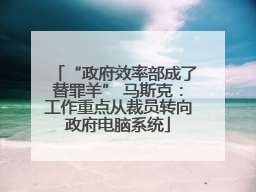 “政府效率部成了替罪羊” 马斯克：工作重点从裁员转向政府电脑系统
