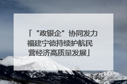 “政银企”协同发力 福建宁德持续护航民营经济高质量发展